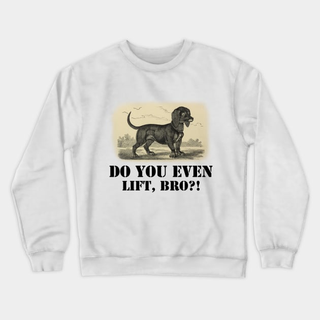 Do you even lift, bro? Crewneck Sweatshirt by ArtisticFloetry